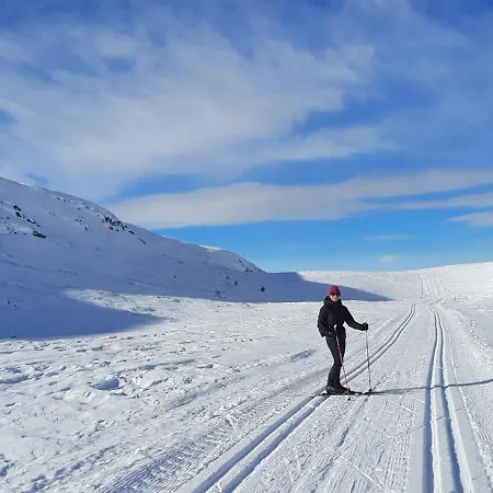 Naturopplevelser Aret Rundt I Valdres In Out Panoramautsikt Apartamento Aurdal