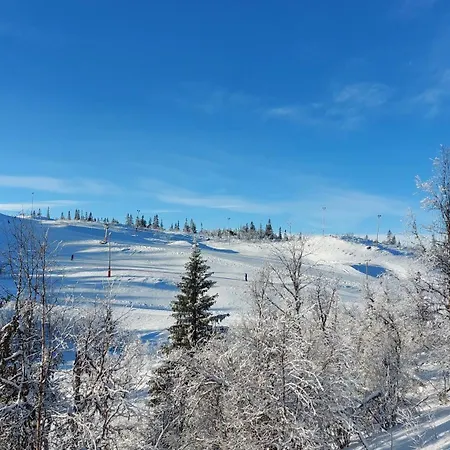 Naturopplevelser Aret Rundt I Valdres In Out Panoramautsikt Aurdal