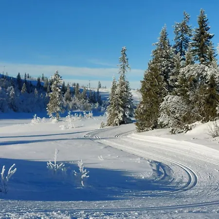 Apartamento Naturopplevelser Aret Rundt I Valdres In Out Panoramautsikt *