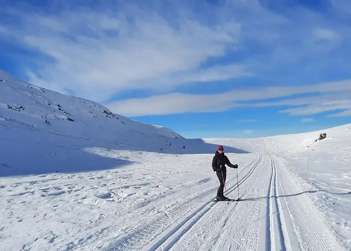 Naturopplevelser Aret Rundt I Valdres In Out Panoramautsikt Апартаменты Aurdal