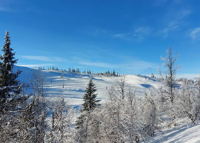 Naturopplevelser Aret Rundt I Valdres In Out Panoramautsikt Aurdal