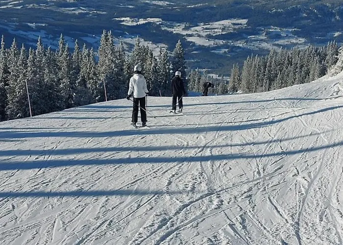Naturopplevelser Aret Rundt I Valdres In Out Panoramautsikt Апартаменты *