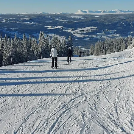 Naturopplevelser Aret Rundt I Valdres In Out Panoramautsikt Apartamento *